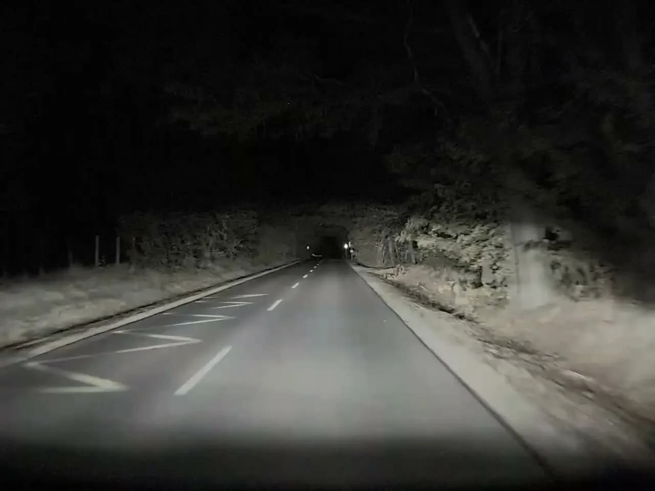 Veszélyes fák Agárd és Zichyújfalu között: óvatosan közlekedjetek