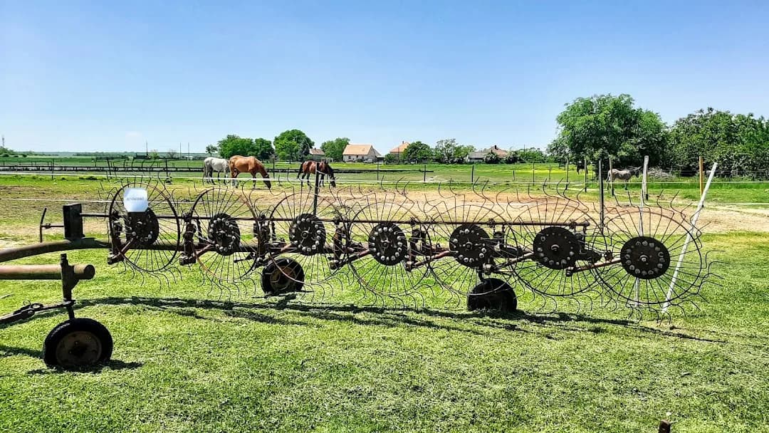 Dinnyési parasztudvar az őshonos állatpark és állatsimogató