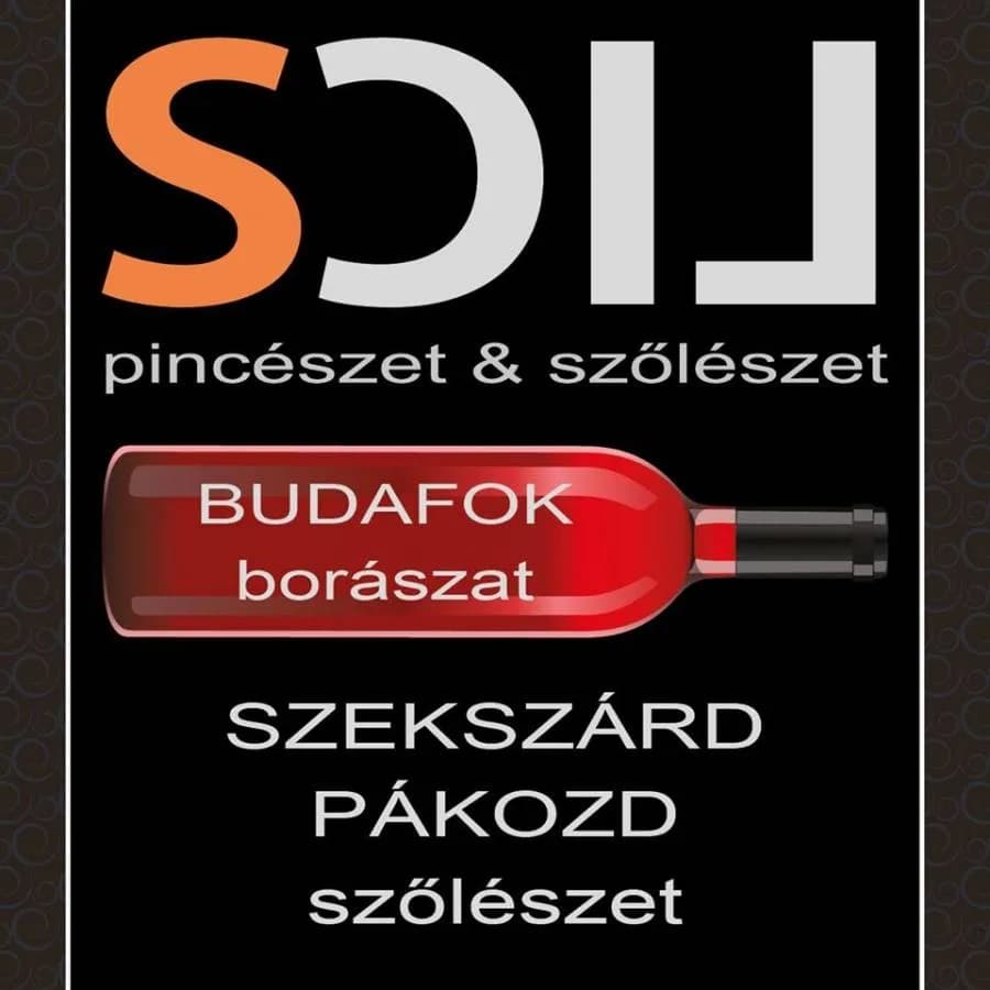 Lics Borbirtok Pákozd