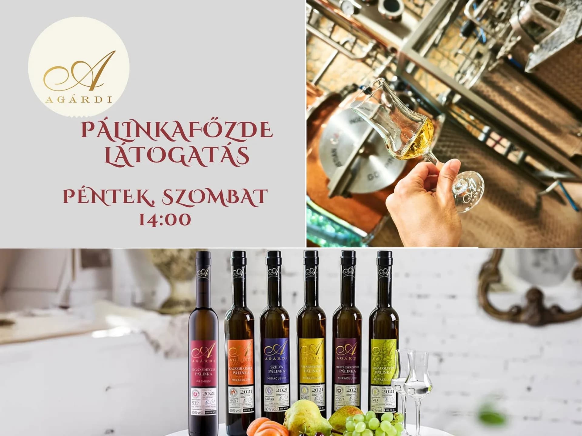 Pálinkafőzde-látogatás az Agárdi Pálinkafőzdében 10.09.