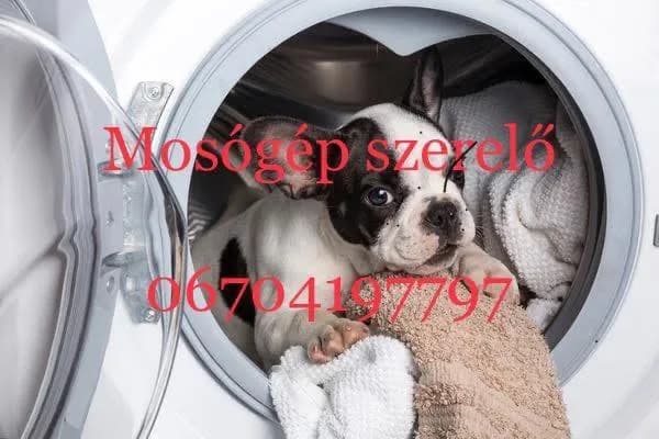 Mosógép szerelő Pákozd