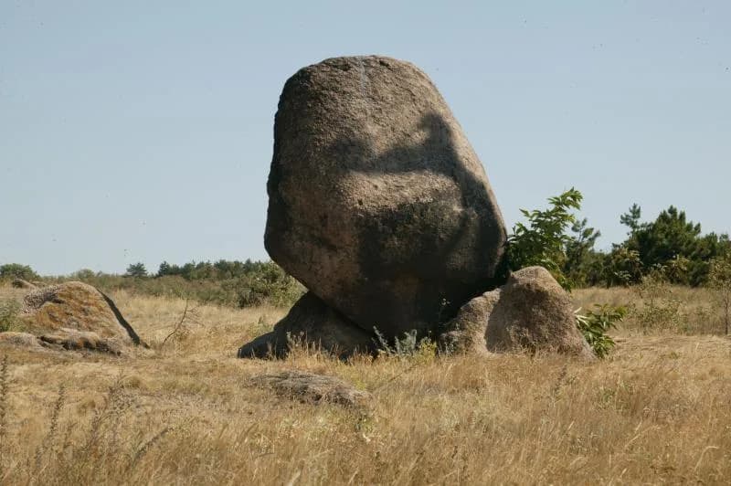 Gyapjaszsák