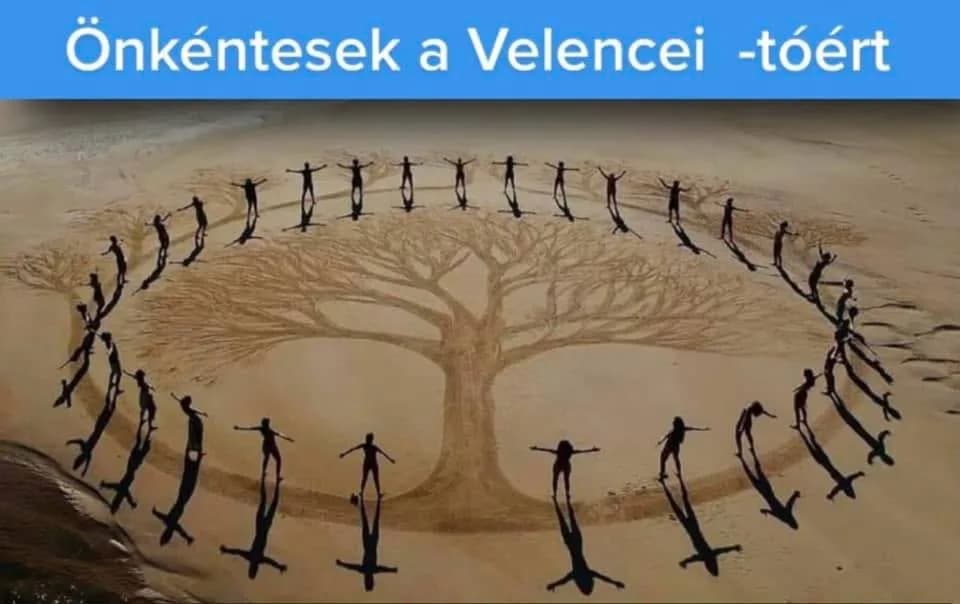 Önkéntes Összefogással a Velencei-tóért – Medertisztítás folytatása