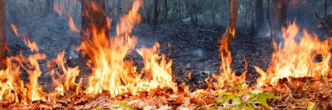 Továbbra is érvényben van a tűzgyújtási tilalom Pázmándon