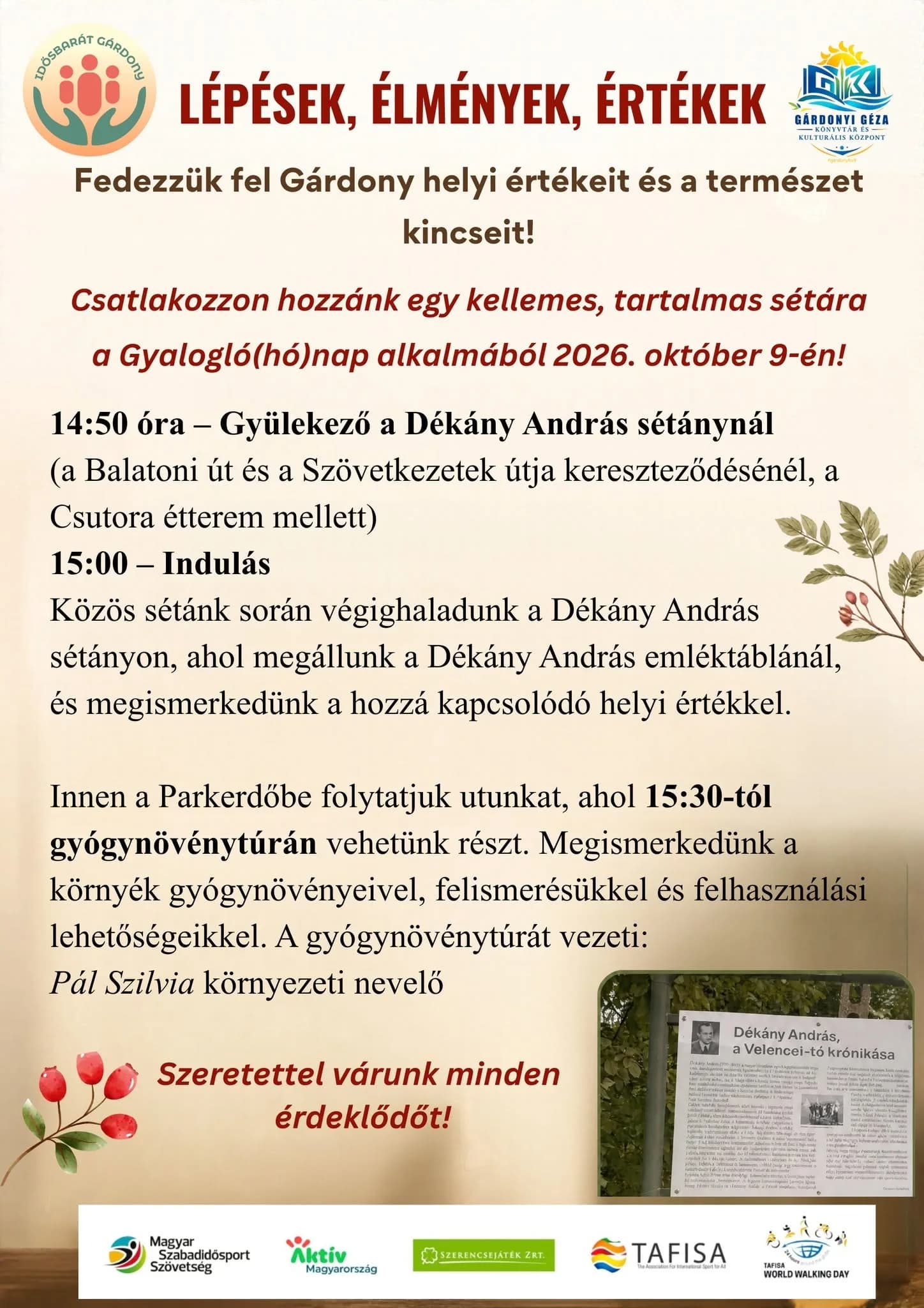 Péntek délutáni 4in1 program: Mozgás, közösség, helyi értékek és gyógynövényismeret