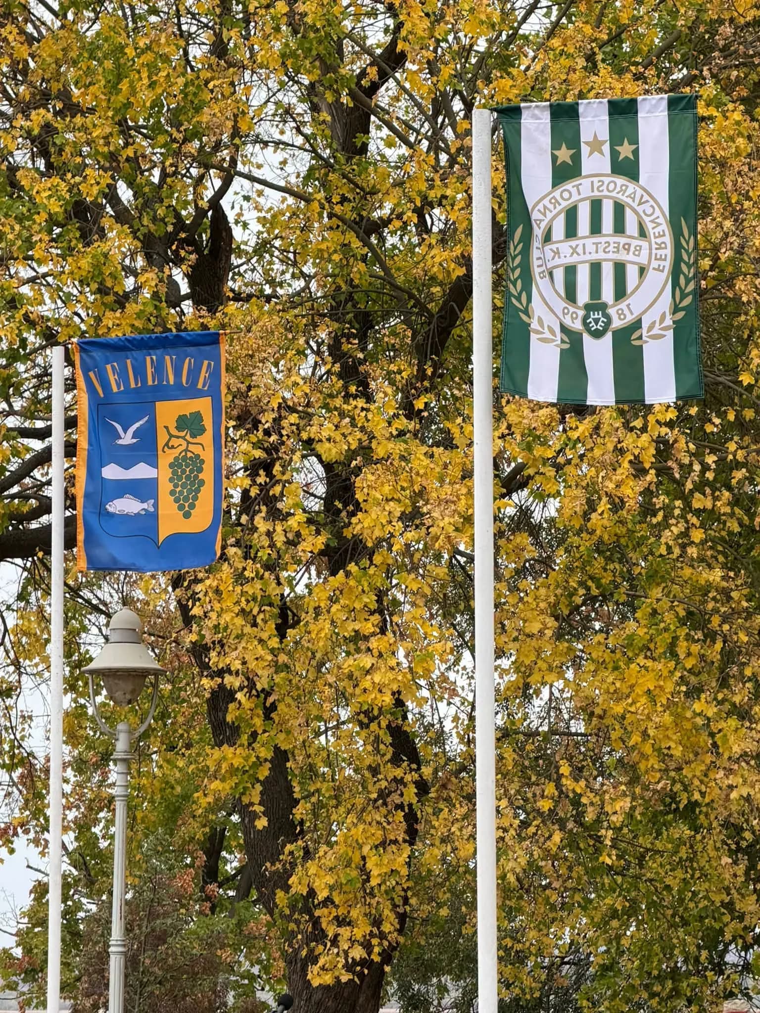 90 éves a velencei labdarúgás: Sportnappal ünnepeltek a Kastélyparkban