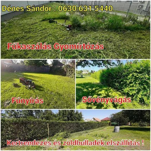 Fűnyírás kaszálás gyomírtózás