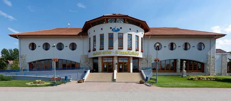 Ingyenes fürdőzés a gárdonyi nyugdíjasoknak az Idősek Világnapja alkalmából